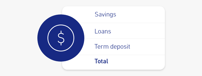 A list of ways to display account status; net position is highlighted.