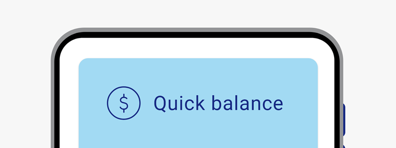 An image showing the quick balance options in the app.