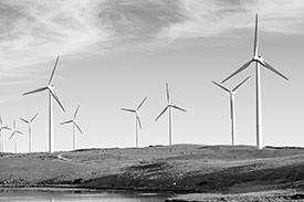 Feel Good Wealth Climate Action with wind turbines in a field.